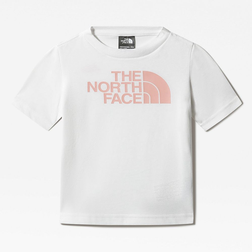 The North Face T-Shirts Toddler Australia - The North Face Toddler Graphic White (YNU-154790)